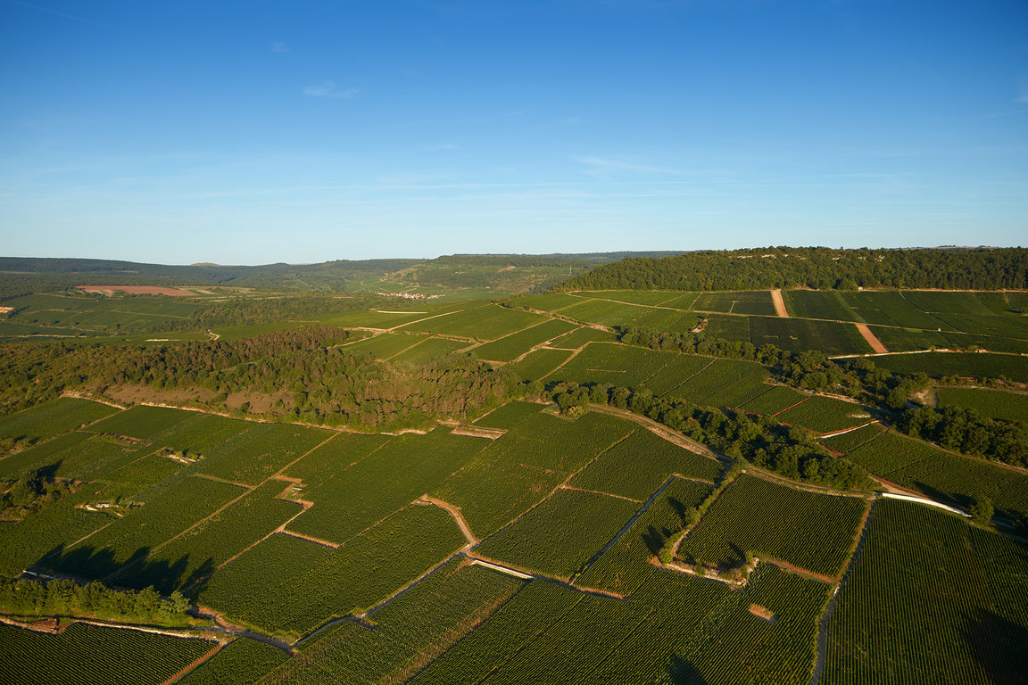 Puligny-Montrachet & Saint-Aubin