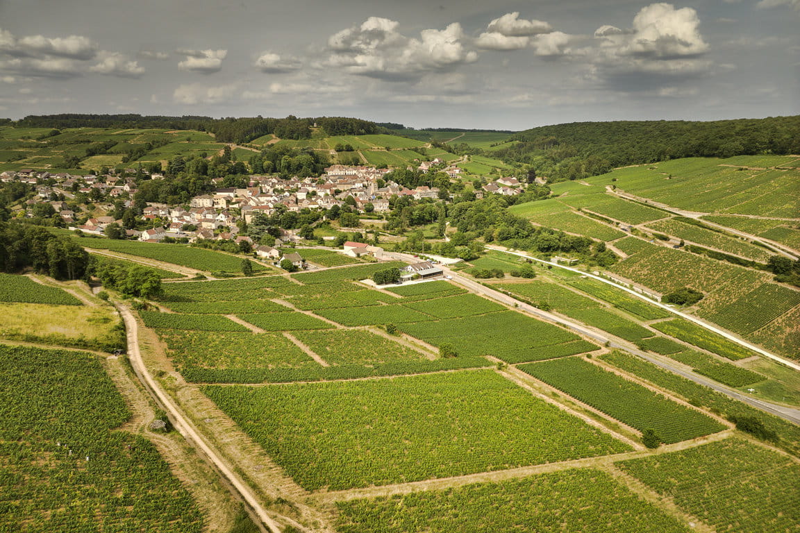 Pernand-Vergelesses 1er Cru "En Caradeux" plot