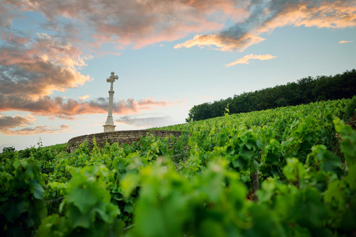 Charlemagne cross