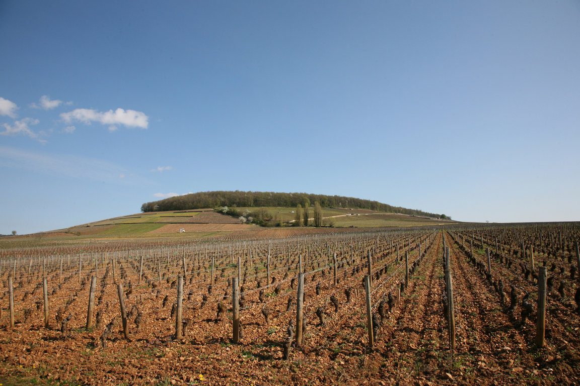 Colline des Cortons