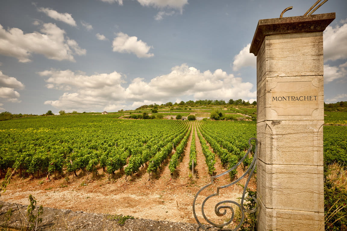 Parcelle de Montrachet Grand Cru